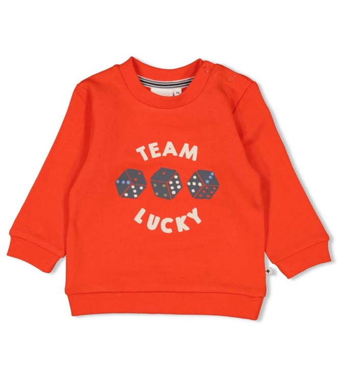 Feetje truien & vesten 100 Rood 51602635