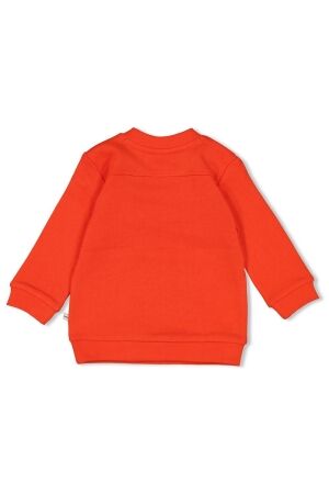 Feetje truien & vesten 100 Rood 51602635