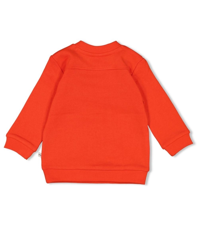 Feetje truien & vesten 100 Rood 51602635