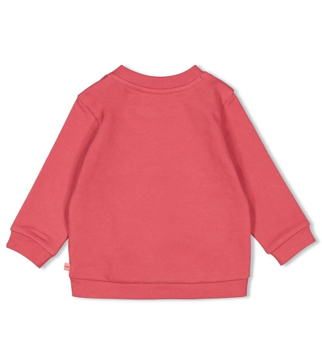 Feetje truien & vesten 150 Roze 51602641