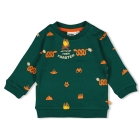 Feetje truien 300 Groen 51602648