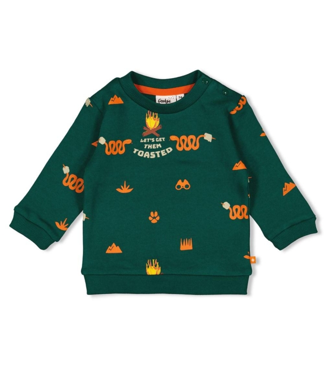 Feetje truien & vesten 300 Groen 51602648