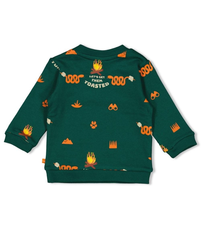 Feetje truien & vesten 300 Groen 51602648