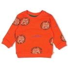 Feetje truien 350 Oranje 51602649