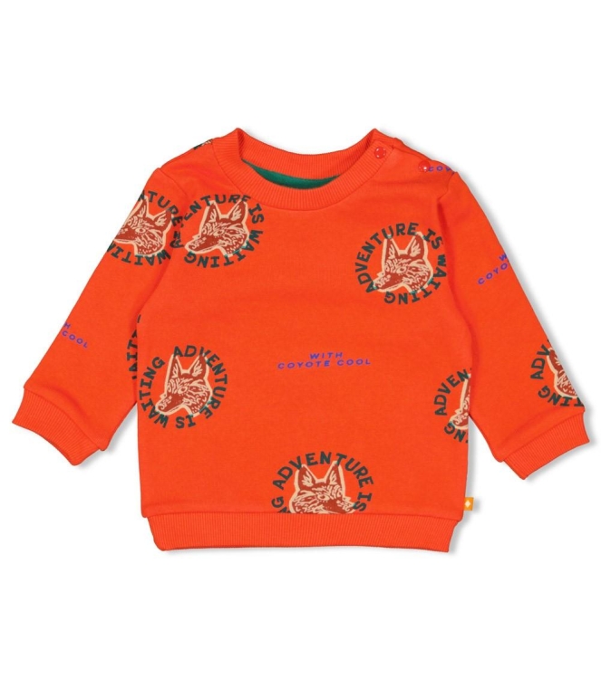 Feetje truien & vesten 350 Oranje 51602649