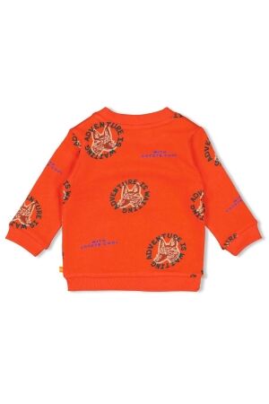 Feetje truien & vesten 350 Oranje 51602649