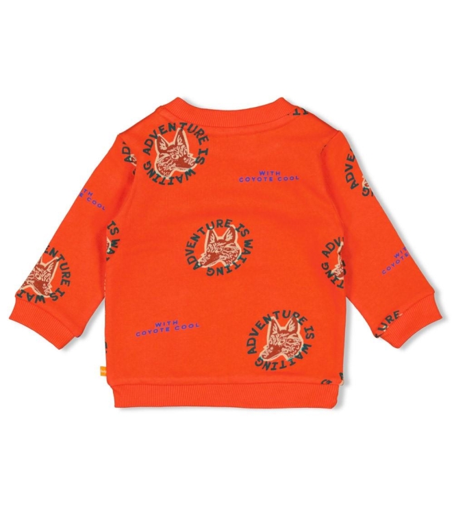 Feetje truien & vesten 350 Oranje 51602649