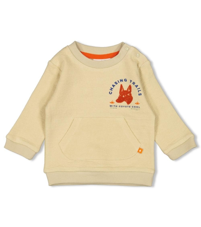 Feetje truien & vesten 510 Kit 51602651