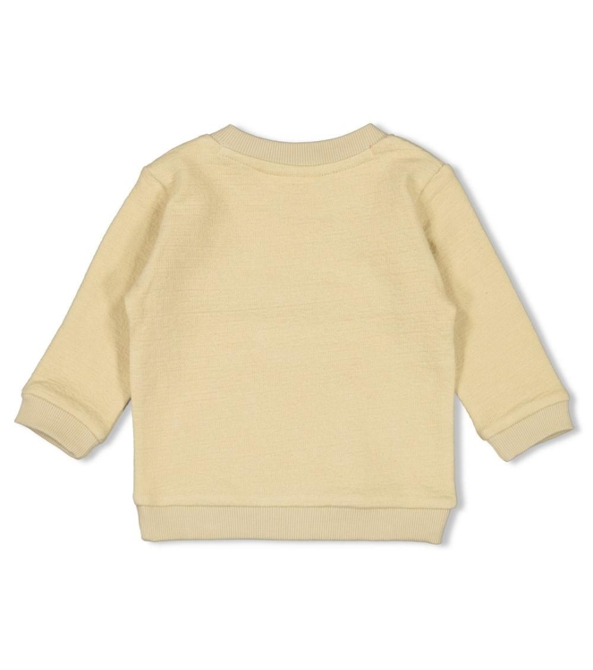 Feetje truien & vesten 510 Kit 51602651