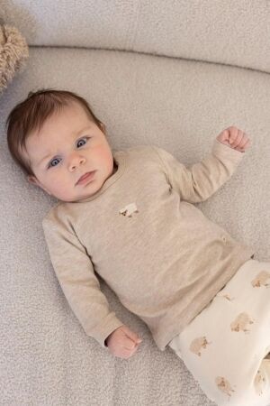Feetje shirts 730 Taupe melange 51602680