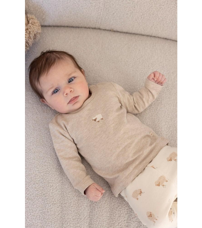Feetje shirts 730 Taupe melange 51602680
