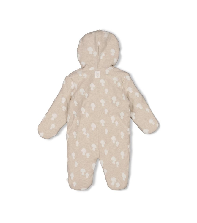 Feetje boxpakjes & rompers 730 Taupe melange 51900042