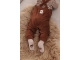 Feetje broeken 400 Bruin 52000133