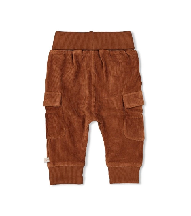 Feetje broeken 400 Bruin 52202424