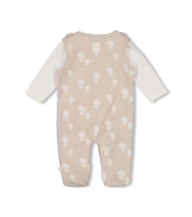 Feetje boxpakjes & rompers 730 Taupe melange 52500235