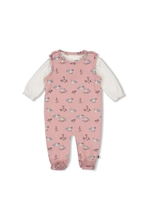Feetje 2-dlg Boxpak AOP - Swanlake 150 Roze