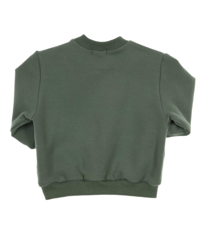 Gymp truien & vesten Green 352-5808-20