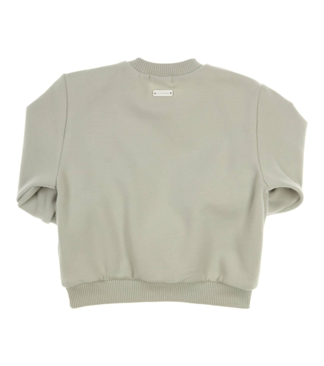 Gymp truien & vesten Pale Green 352-5848-20