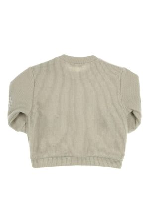 Gymp truien & vesten Pale Green 352-5660-20