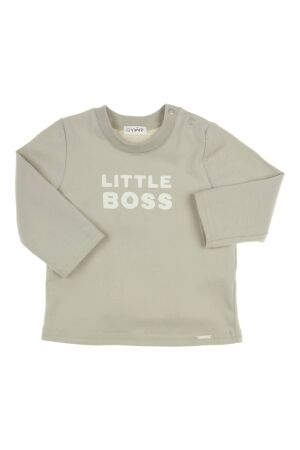 Gymp T-shirt Aerodoux Pale Green