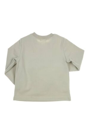 Gymp shirts Pale Green 352-5710-20
