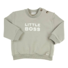 Gymp truien & vesten Pale Green 352-5711-20