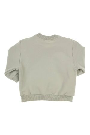 Gymp truien & vesten Pale Green 352-5711-20