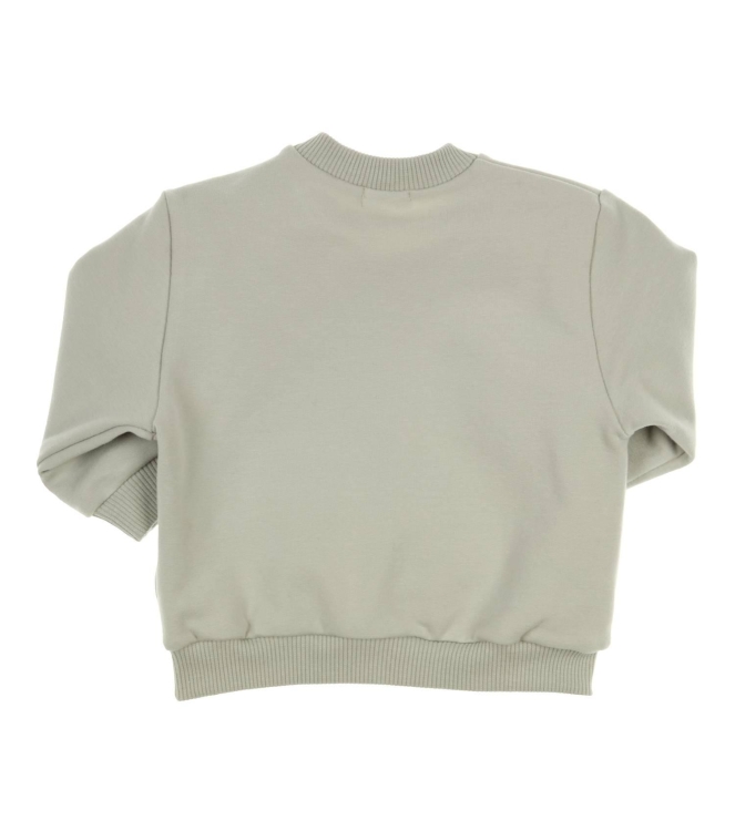 Gymp truien & vesten Pale Green 352-5711-20