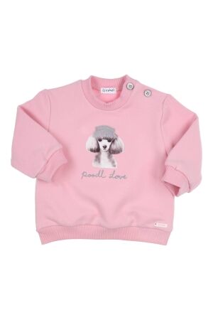 Gymp Sweater Carbondoux Rose