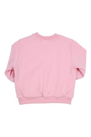Gymp truien & vesten Rose 352-5743-10