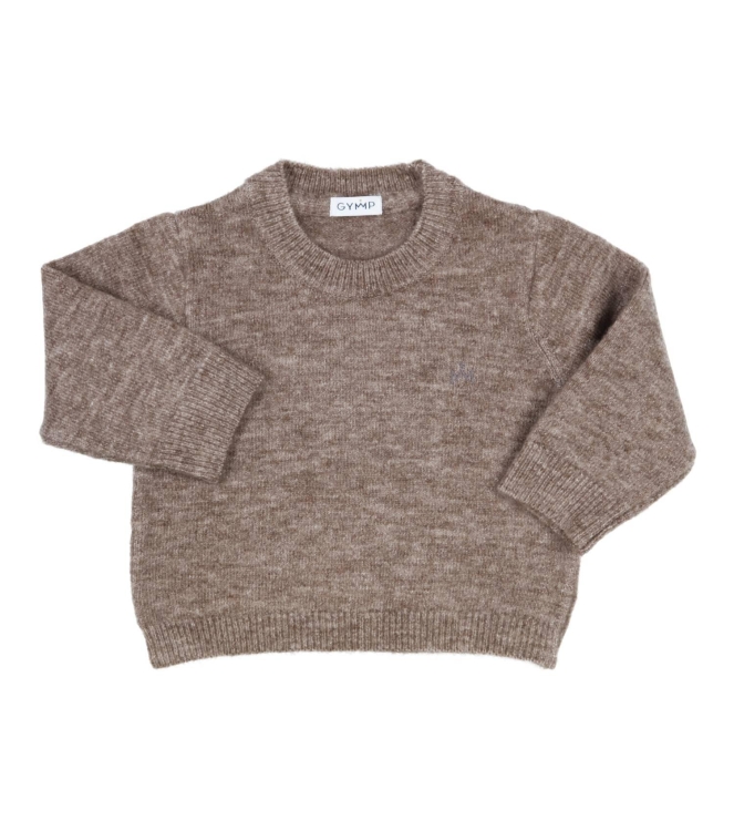 Gymp truien & vesten Brown 352-5799-20