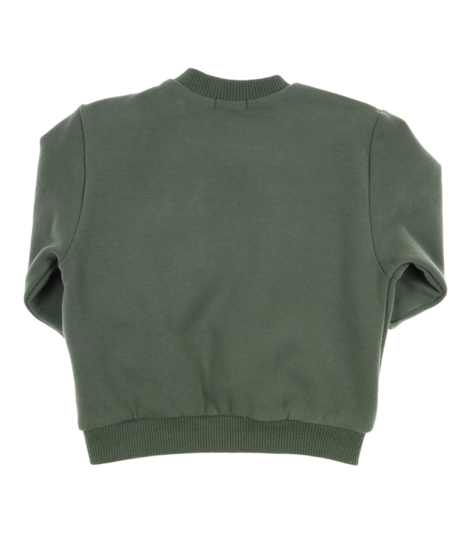 Gymp truien & vesten Green 352-5802-20