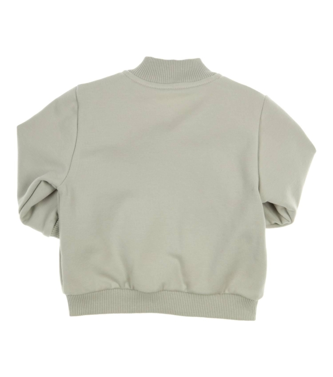 Gymp truien & vesten Pale Green 350-5849-20