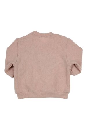 Gymp truien & vesten Old Rose 352-5513-10