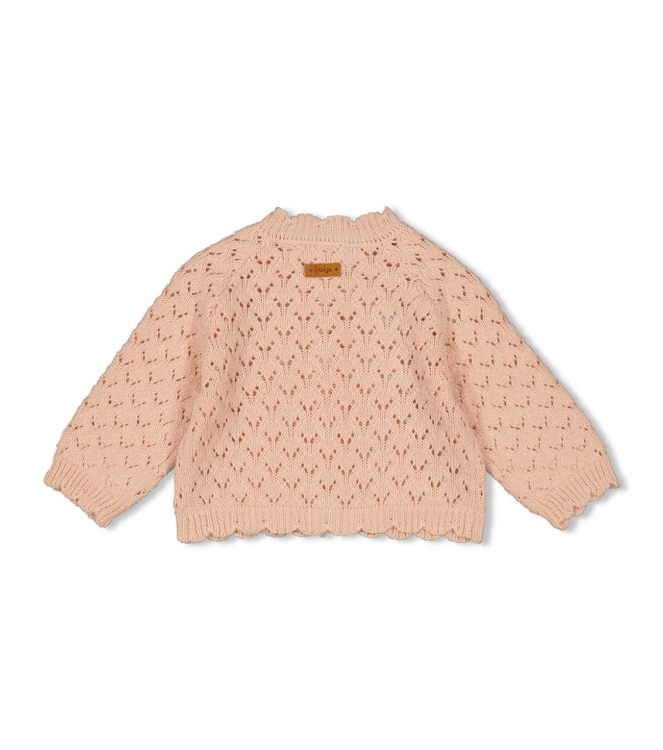 Feetje truien & vesten 155 l.Roze 51300496