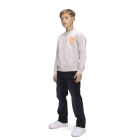 Retour Jeans truien 8010 light grey RJB-053-711