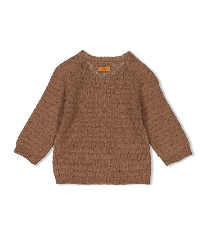 Feetje truien & vesten 400 Bruin 51300502