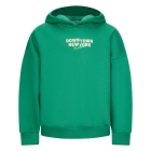 Retour Jeans truien 6037 forest green RJG-053-700