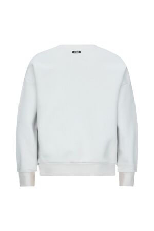 Retour Jeans truien & vesten 8010 light grey RJG-053-701