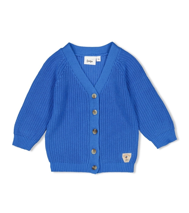 Feetje truien & vesten 015 Blauw 51300506