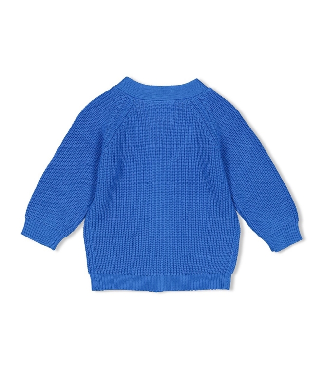 Feetje truien & vesten 015 Blauw 51300506