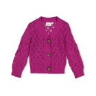 Feetje truien & vesten 160 Cerise 51300507