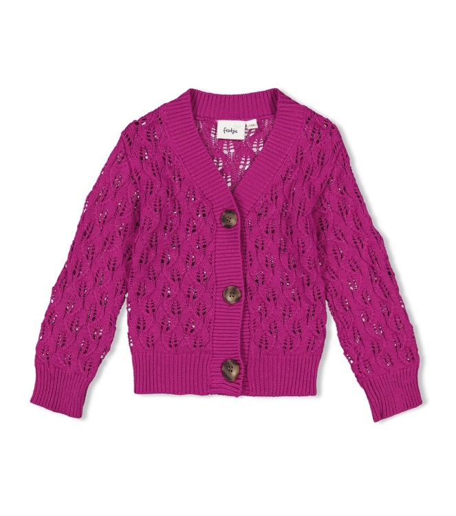 Feetje truien & vesten 160 Cerise 51300507