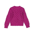 Feetje truien & vesten 160 Cerise 51300507