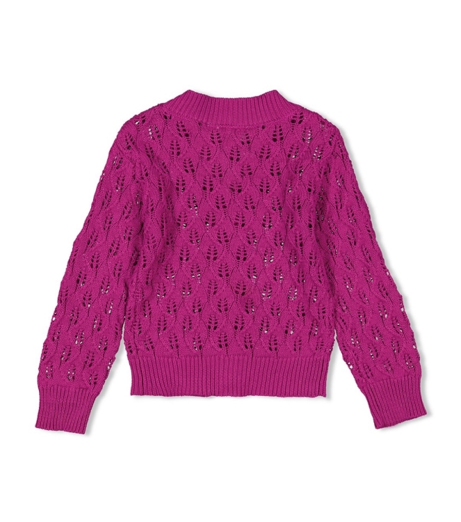 Feetje truien & vesten 160 Cerise 51300507