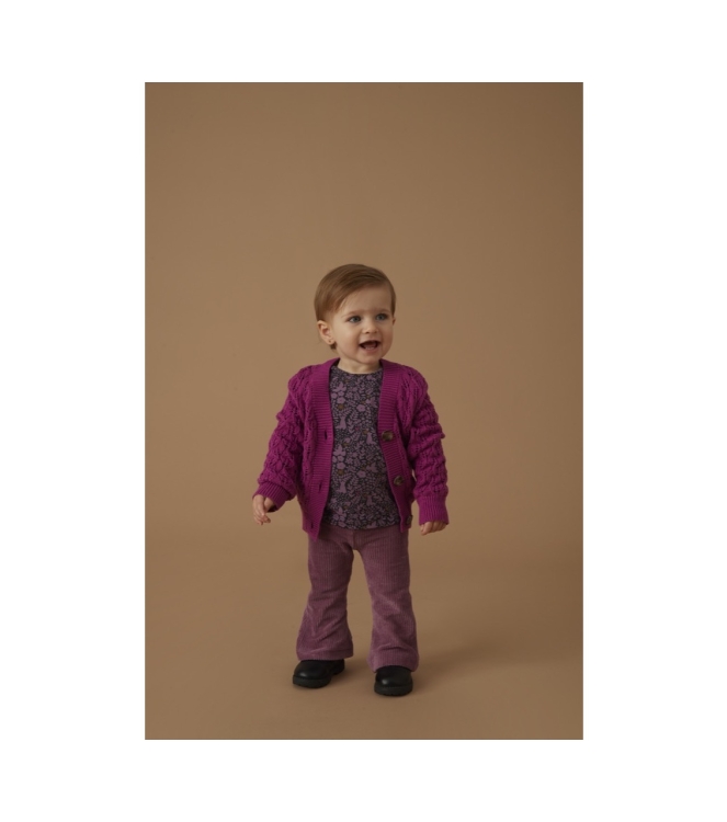 Feetje truien & vesten 160 Cerise 51300507
