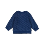 Feetje truien & vesten 070 Indigo 51300508