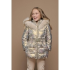 Le Chic jassen 915 Mme Butterfly Gold C507-5245