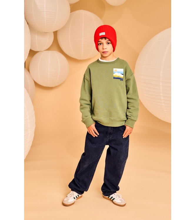 AO76 truien & vesten 000494 - earth green 225-2110-304