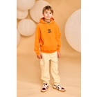 AO76 truien 000350 - orange 225-2145-357